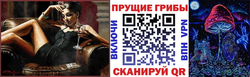 купить   Вяземский  Галлюциногенные грибы прущие грибы 